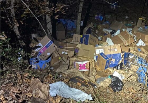 fedex boxes.jpg